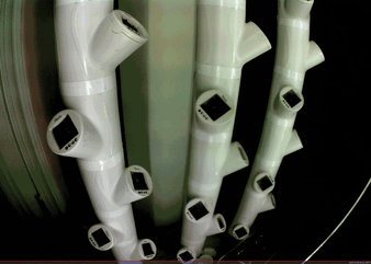 Petunia_Timelapse_Gif_large